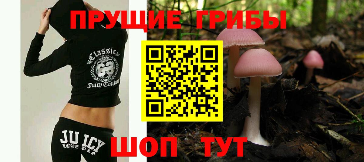 Вышний Волочёк  Галлюциногенные грибы мицелий  Вход с VPN 